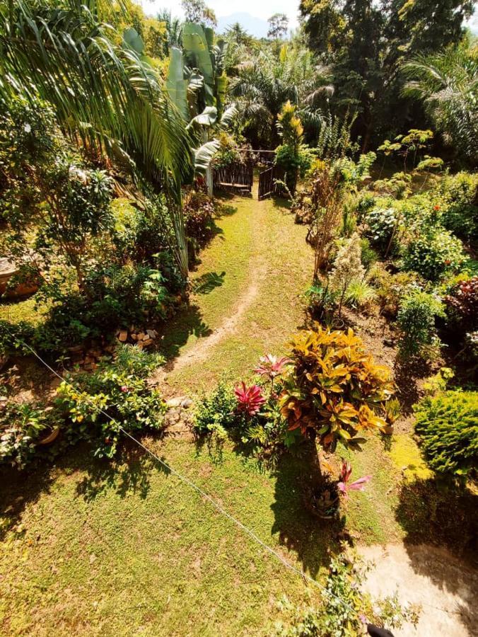 Maison Au Calme Dans La Nature Kpalimé Eksteriør billede