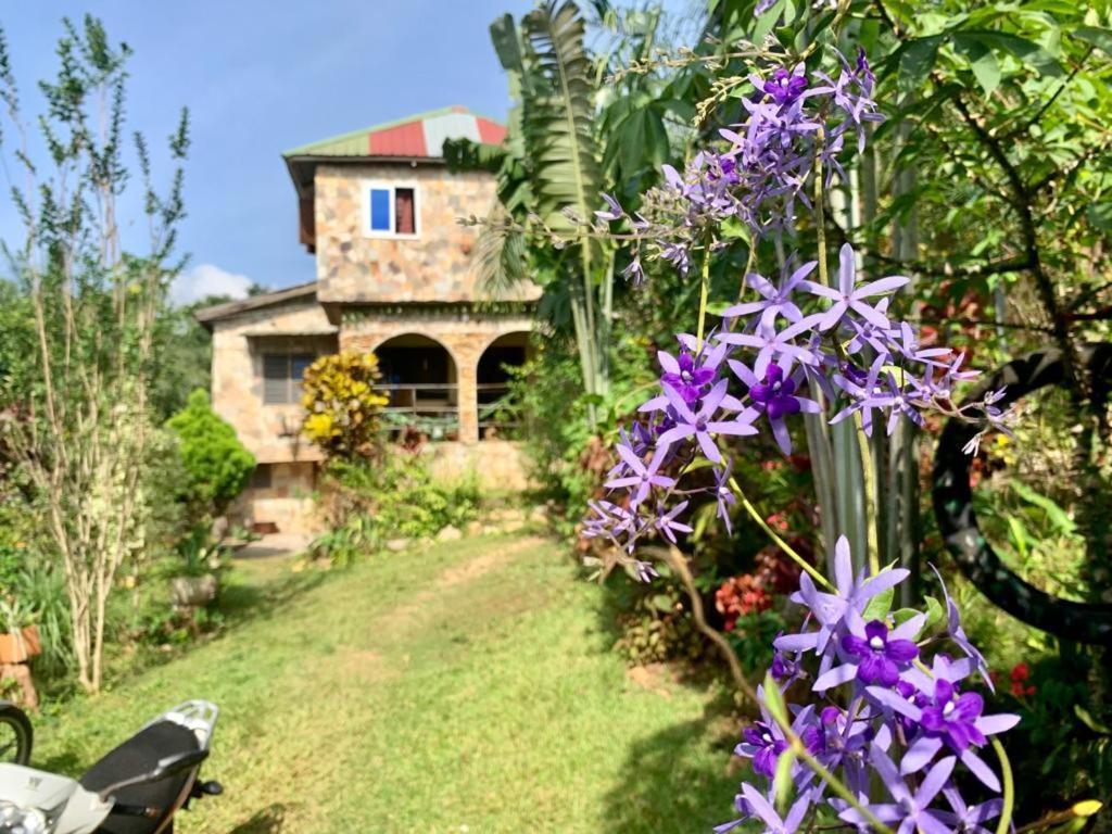 Maison Au Calme Dans La Nature Kpalimé Eksteriør billede